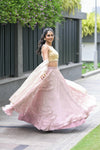 Champagne Gold & Blush Pink Embroidered Lehenga