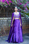 Royal blue velvet embroidery lehenga
