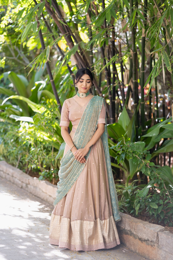 Tissue Embroidery Lehenga
